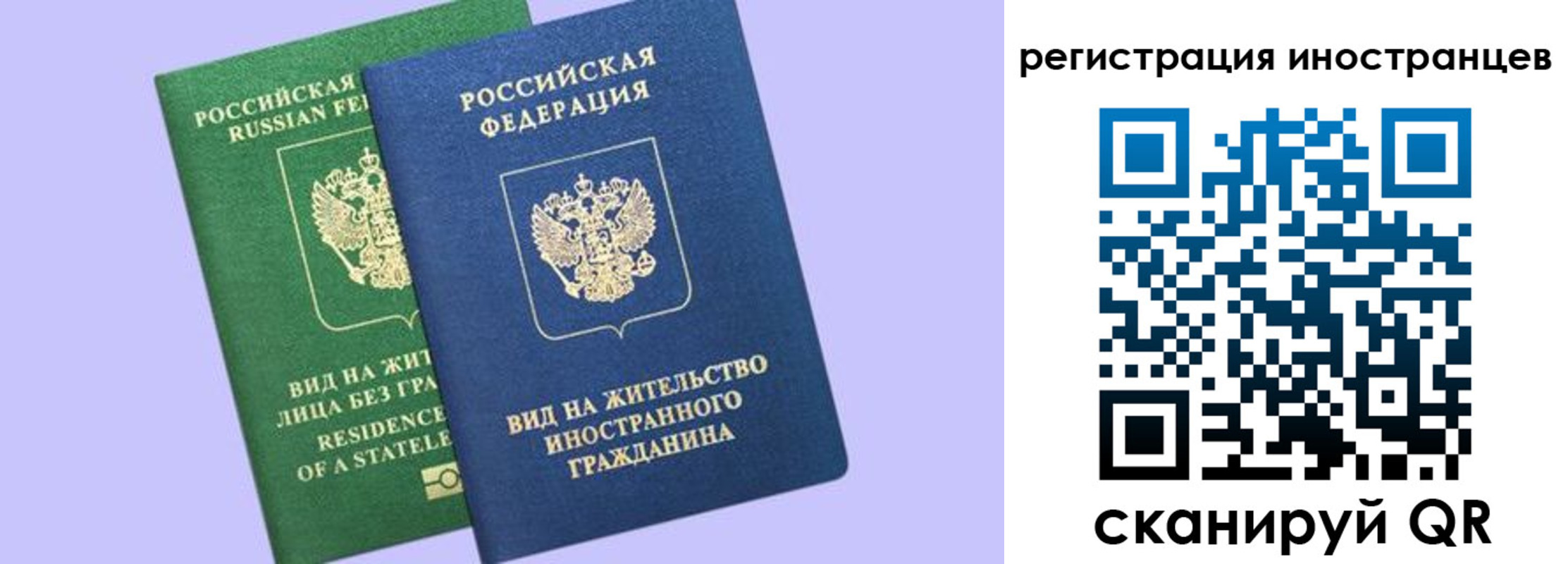 временная прописка в Курской области
