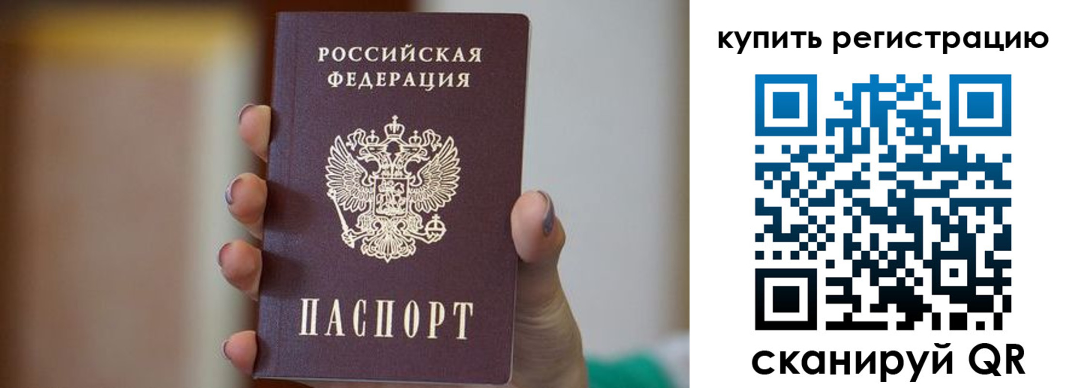 прописка в Курской области