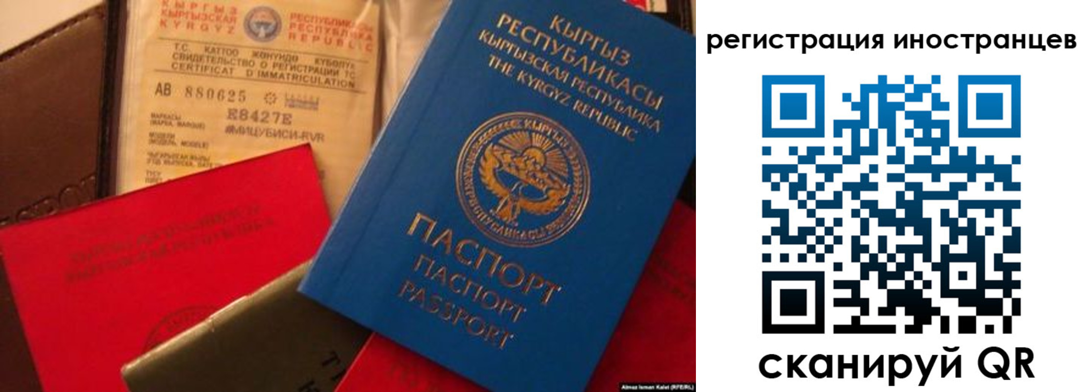временная регистрация надежно в Курской области